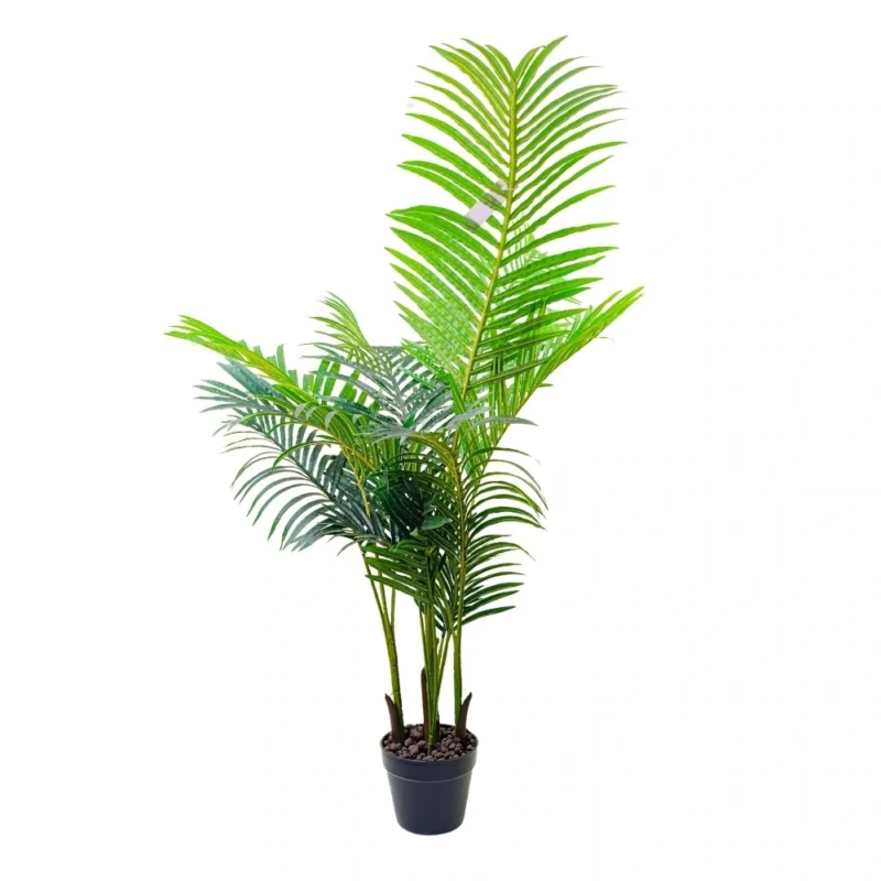 PLANTA PALMERA ARECA 1,2m VERDE