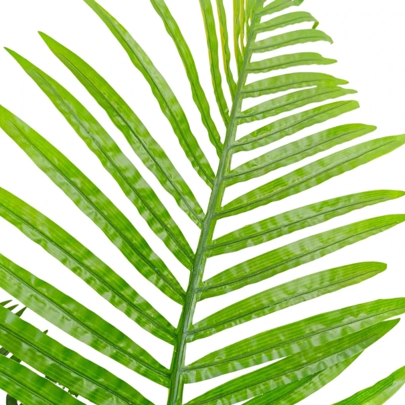PLANTA PALMERA ARECA 1,2m VERDE