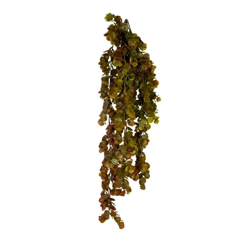 ENREDADERA DOLLAR 79cm OTOÑAL