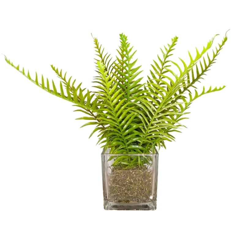 Planta Artificial con Florero Helecho Peineta 28cm