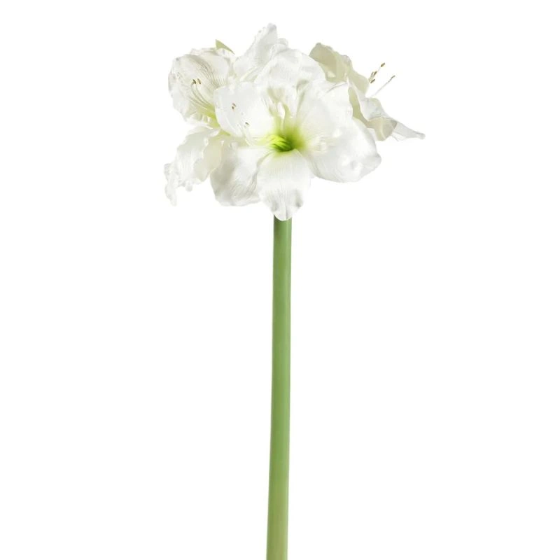 AMARYLLIS 74cm BLANCO