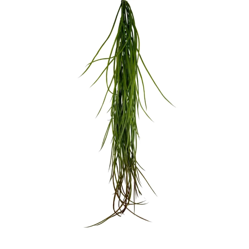 ENREDADERA PASTOS 107cm VERDE CON CAFÉ