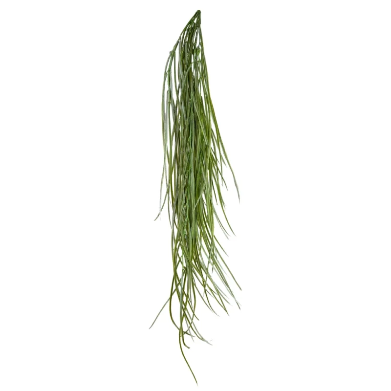 ENREDADERA PASTOS 107cm VERDE CLARO