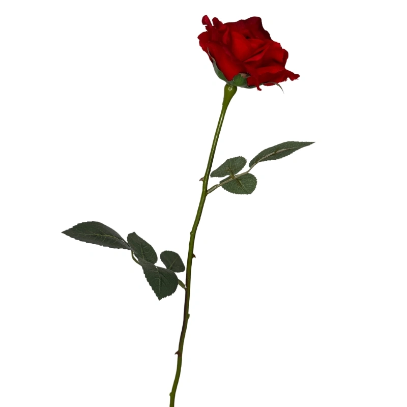 ROSA SP 58CM ROJO INTENSO