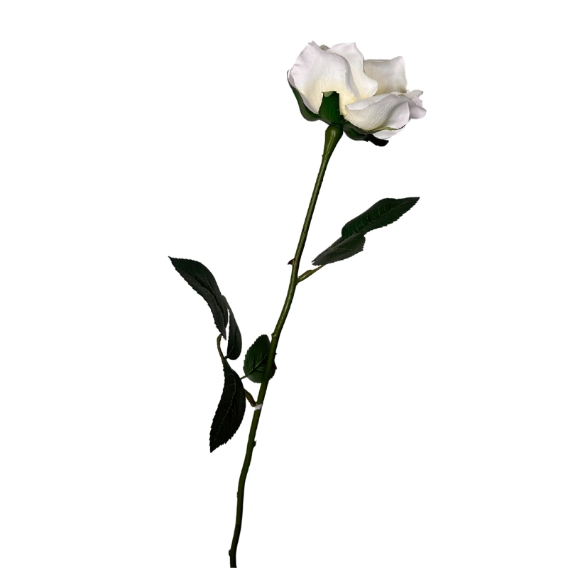 ROSA SP 58CM CREMA
