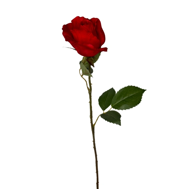 ROSA BOTON 55cm ROJO